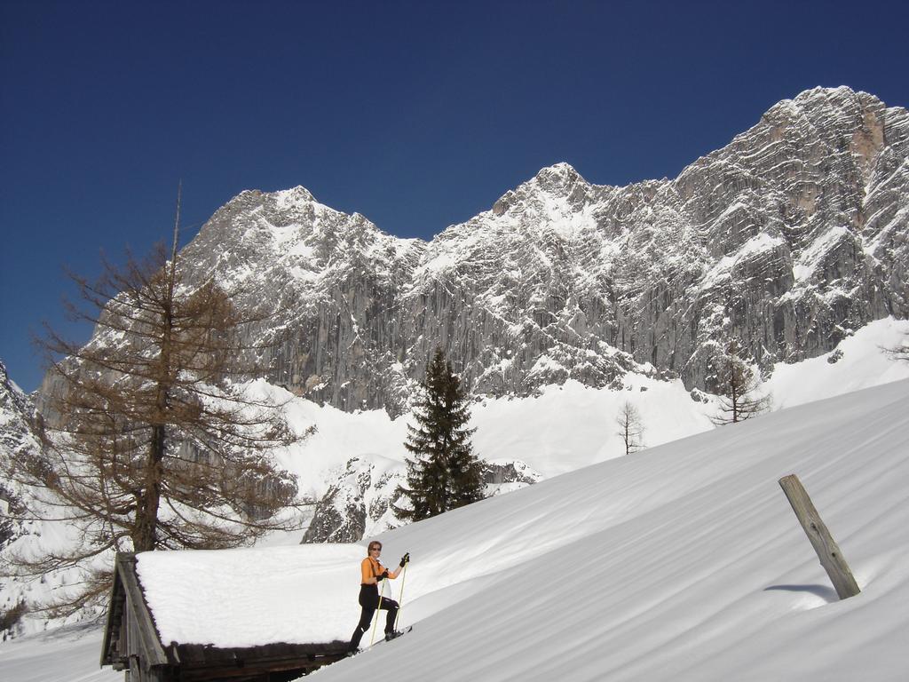 Gloesalm Lägenhet Ramsau am Dachstein Rum bild