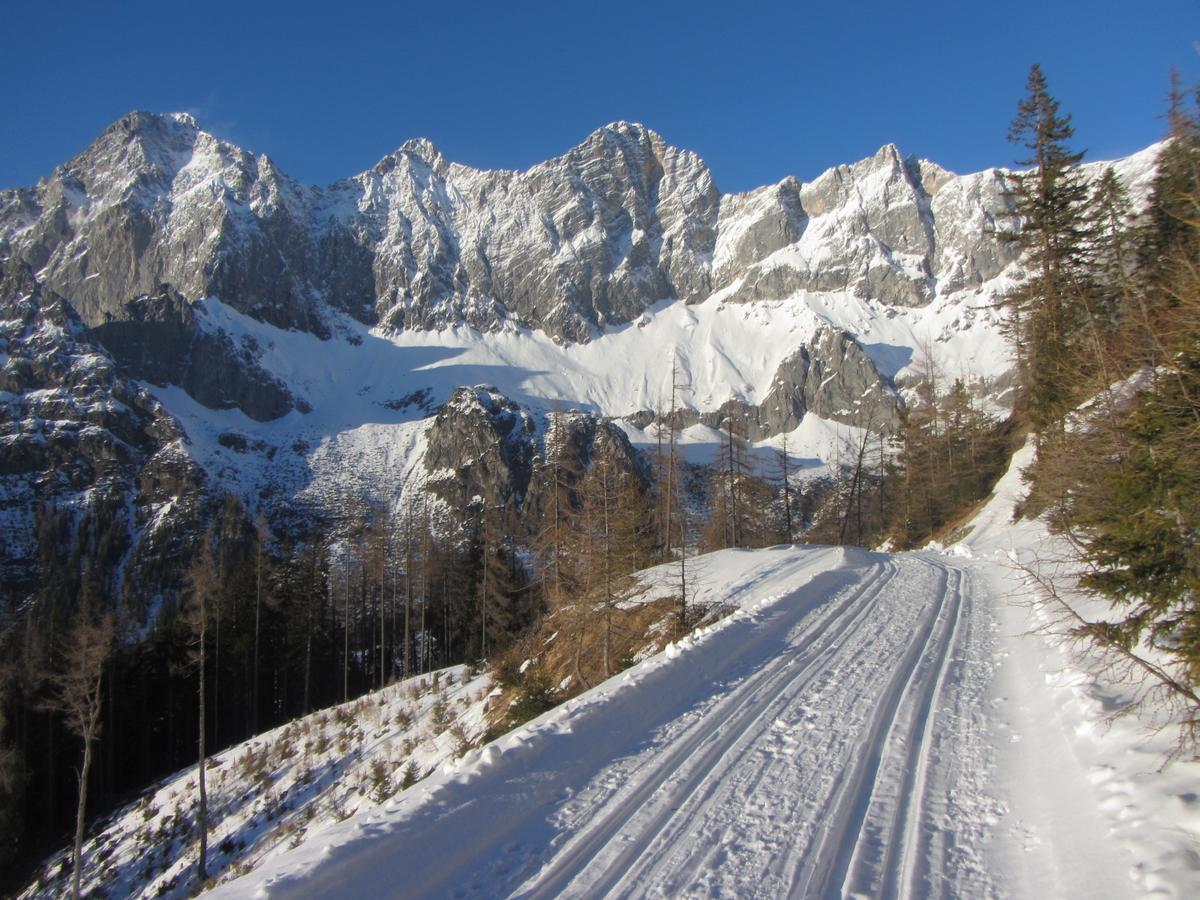 Gloesalm Lägenhet Ramsau am Dachstein Exteriör bild