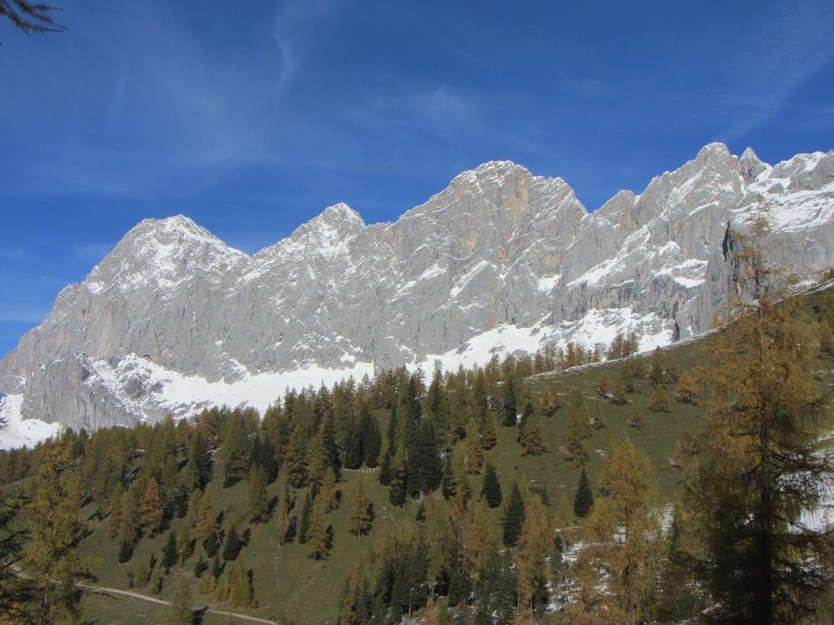 Gloesalm Lägenhet Ramsau am Dachstein Exteriör bild